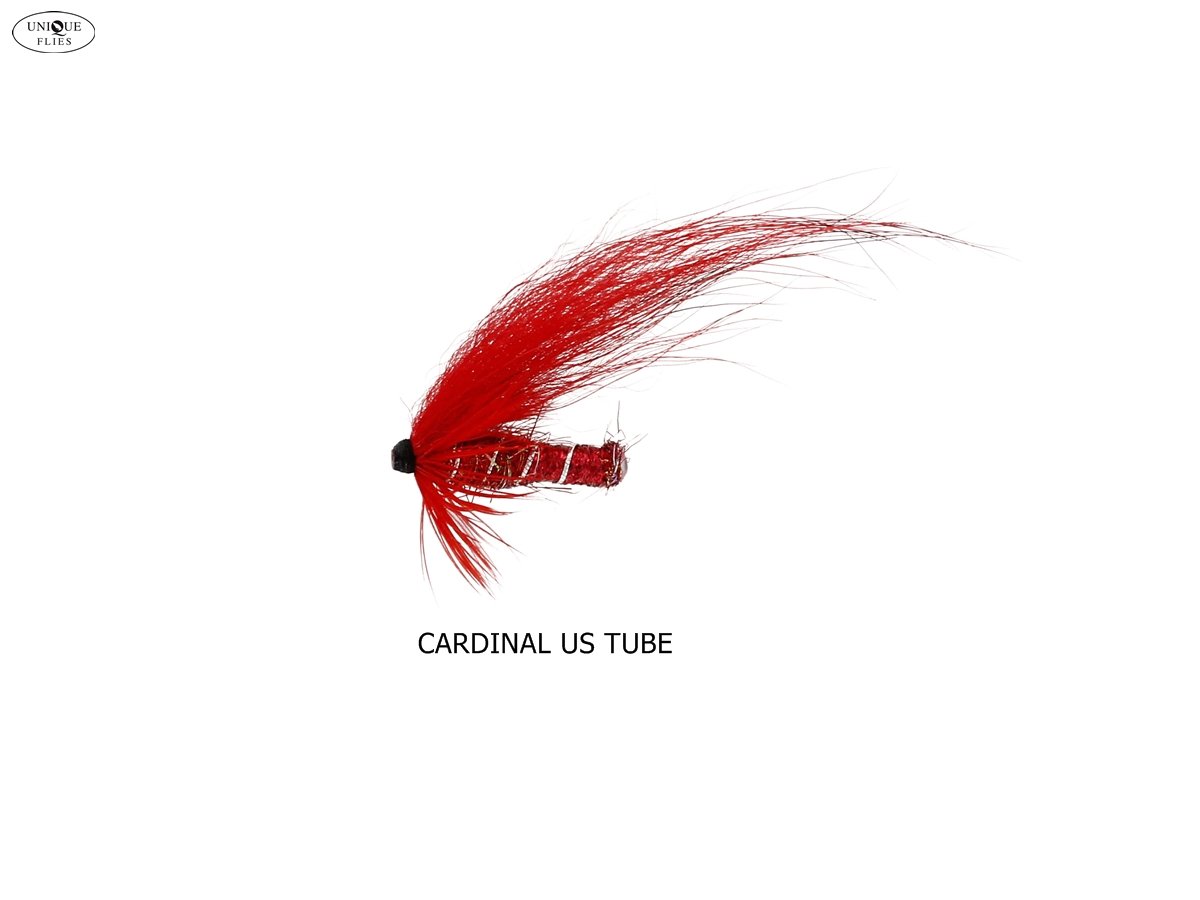 The Cardinal US Tube