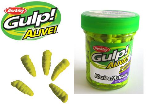 Gulp Alive Maggot